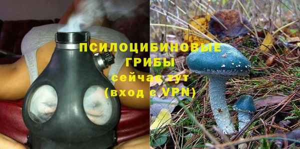 винт Няндома