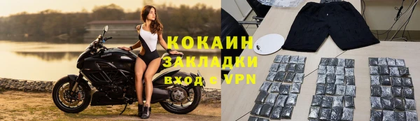 винт Няндома