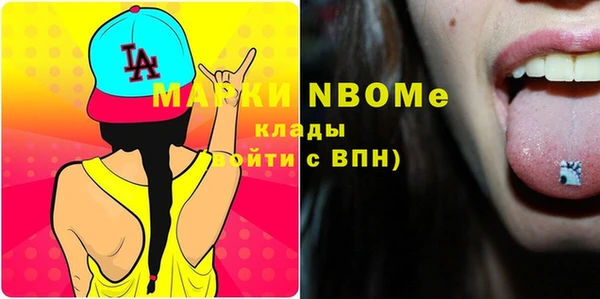 винт Няндома