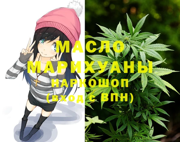 винт Няндома