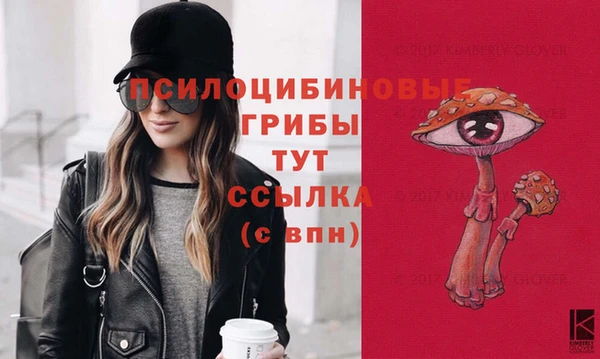 винт Няндома