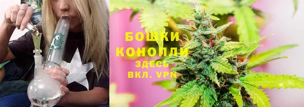 винт Няндома