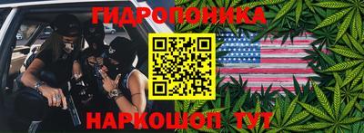 mdpv Гатчина