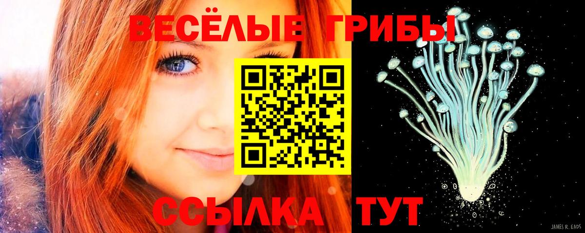 Псилоцибиновые грибы мухоморы  Вход с VPN  Казань  Псилоцибиновые грибы прущие грибы 